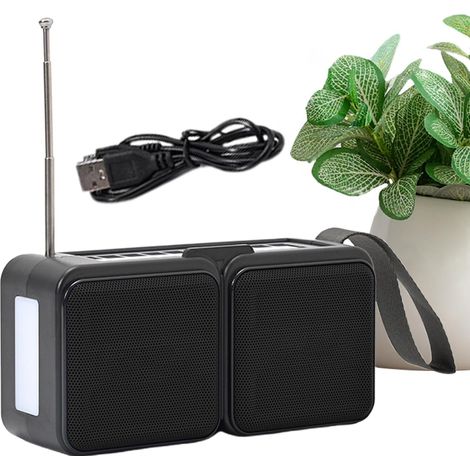Radio FM Portable Solaire avec Lampe Torche LED (1/5)