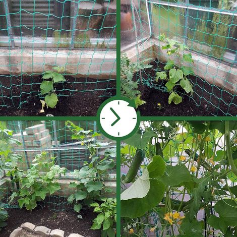 Filet de jardinage pour grimper, pour fruits, concombres, capucines, treillis de plantes, support de traction, filet de grimpe vert (1/5)