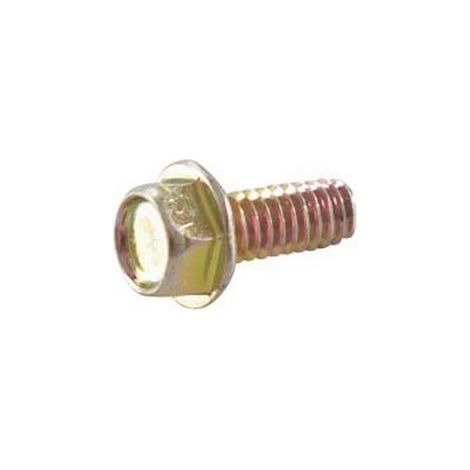 Vis fixation échappement moteur Briggs et Stratton