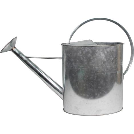 Arrosoir De Jardin - 10L - Acier Galvanisé - Pomme Amovible - Extérieur Et Intérieur - 61x20x41 Cm (1/3)