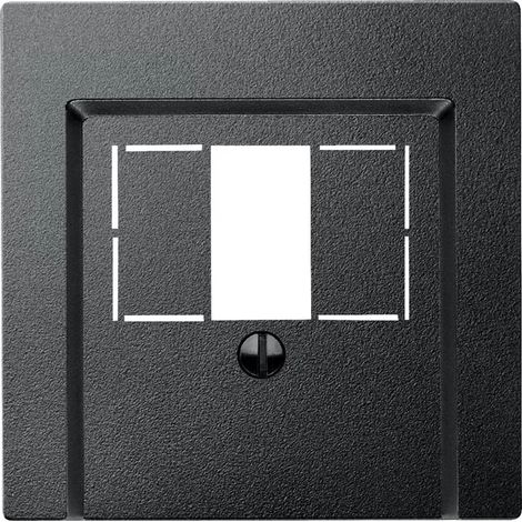 Merten Zentralplatte TAE 2-fach anthrazit mit System M 297914 Schraubbef (1/2)