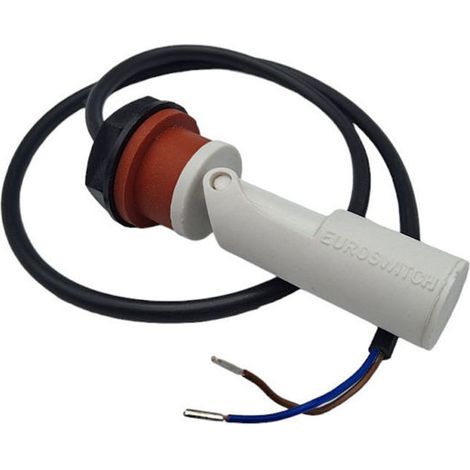 Ricambio sonda livello 12V mont. laterale Jacuzzi 226512020 (1/3)