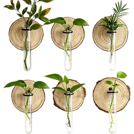 Support pour plantes en forme de tube à essai, jardinière hydroponique bois, vase, la maison (1/5)