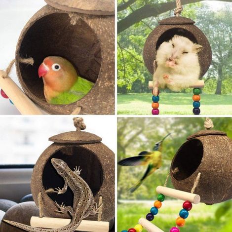 Nichoir En Noix De Coco - Échelle En Corde Bois - Pour Perroquets Et Oiseaux Petits - 1 Pièce (1/4)