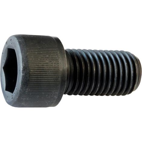 Tornillo de  fijación Röhm  DURO-NCSE,  tamaño 500/630  - 216569
