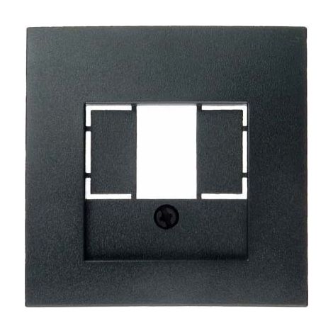 BERKER 10331606 ZENTRALSTÜCK FÜR TAE-STECKDOSE B.1/B.3/B.7 GLAS ANTHRAZIT, MATT