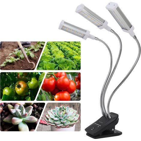Lampe LED pour plantes succulentes, clips pour plantes, lampe d'appoint pour la croissance des plantes, lampe pour plantes avec minuterie, argent (norme anglaise). (1/5)