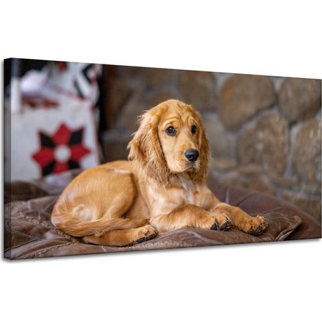 Lienzo impreso con diseño de perro Cocker Spaniel, 120x60 cm.