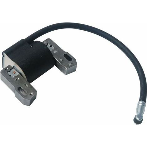 Bobine D Allumage - Pour Moteurs Briggs Stratton 492341 490586 491312 495859 715231 591459 - Compatible Modèles 286702 286707 303447 303777 31P777 - 1 Pièce (1/4)