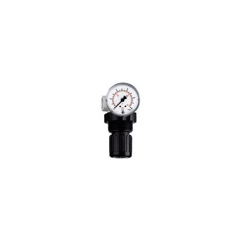 Riegler Druckregler »Standard-mini« inkl. Mano, BG 0, G 1/8, 0,5 - 10 bar (1/3)