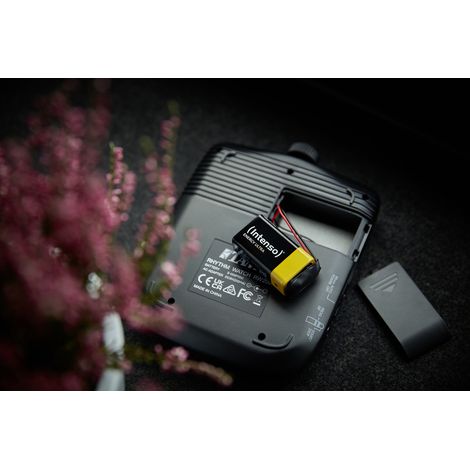Intenso 7501454 batteria per uso domestico Batteria monouso 6LR61 Alcalino (1/2)