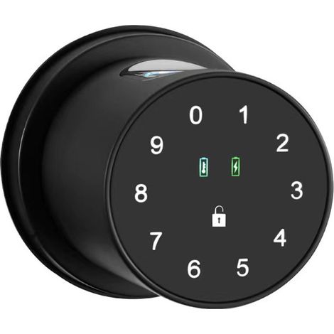 Serrure sphérique à empreinte digitale 4-6V avec application graffiti, déverrouillage par empreinte digitale et mot de passe Bluetooth, serrure intelligente pour appartements locatifs, bureaux et port (1/5)