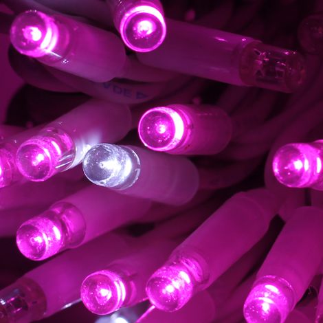 Luccika stringa catena 10 metri serie 120 luci di Natale a Maxi Led Blu con Flash Bianco Ghiaccio per uso esterno ed interno professionale in busta senza alimentatore Rosa 10 metri - 100 MaxiLed Bianc (1/5)