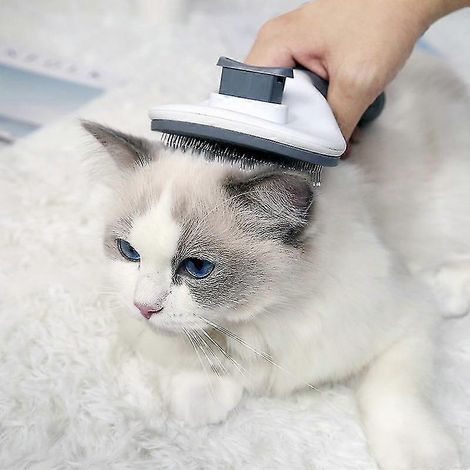 Brosse pour chiens et chats, peigne autonettoyant pour éliminer le sous-poil, brosse pour animaux à poils mi-longs et longs, brossage des animaux de compagnie (1/2)