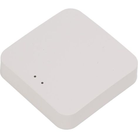 Passerelle WIFI Passerelle intelligente Mini Passerelle Bluetooth Télécommande Sans Fil Port informatique securite (1/4)
