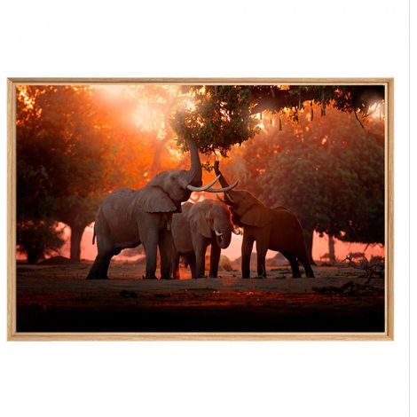 Tableau mural mat encadré famille elephant 65x97 cm - Tableau Mural Décoratif - Image Encadrée Imprimée en HD - Impression 65x97 cm sur Fibres de Bois FSC - Finition Mate - Fabriqué en France (1/5)