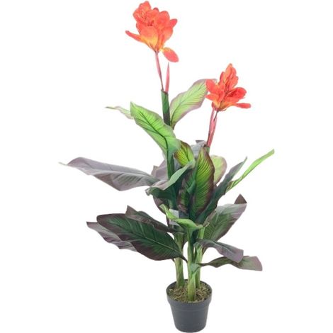 Pianta ornamentale Canna Lily con fiori arancio in vaso 115 cm.
