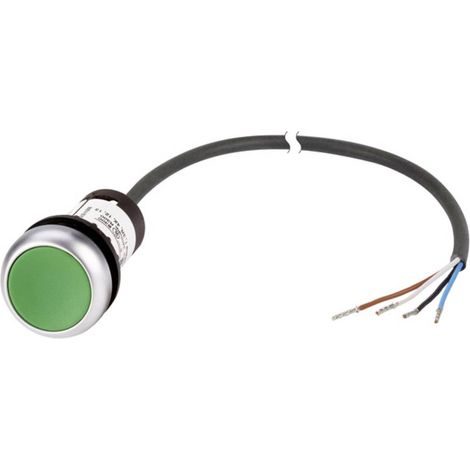Bouton-poussoir plat Eaton C22-D-G-K10-P62 185670 vert 1 pc(s) (1/2)