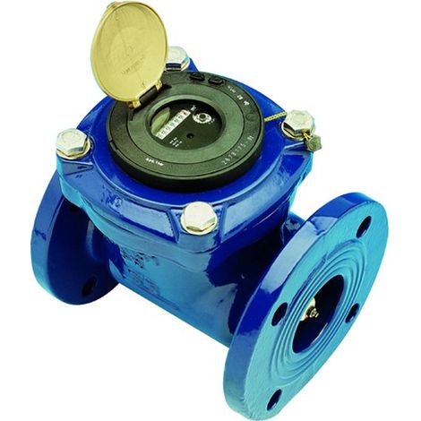 CONTATORE ACQUA FLANGIATO QUADRANTE ASCIUTTO MOD WARF DN65   G. GIOANOLA