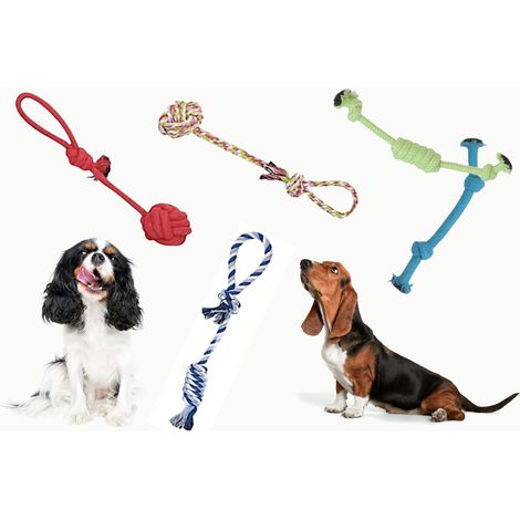 Jouet à tirer pour grands chiens, ensemble de 5 accessoires de jeu (1/2)