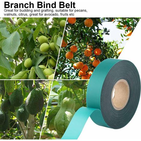 Ruban PVC en rouleau pour ligature de branches, parafilm pour greffer des plantes fruitières ou de jardin. (1/5)