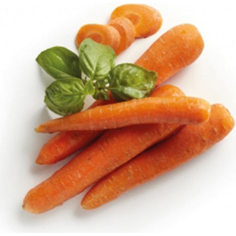 Semi di carota "Berlicum 2 " piante per orto e giardino