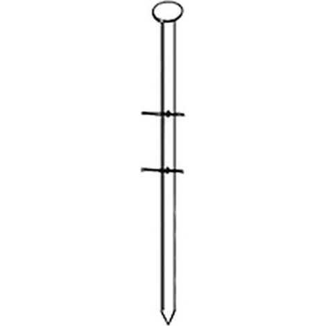 4 500 Pointes Lisses 16° (Coil) - 2.8x80 mm - D-Work (1/2)