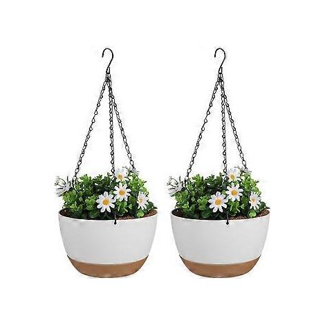 Ensemble de 2 jardinières suspendues, support mural pour plantes d'intérieur