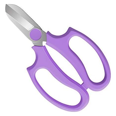 Sécateur/greffoir de jardin 170 x 95 mm, acier de haute qualité, usage professionnel, idéal pour la taille des plantes.- (1/5)