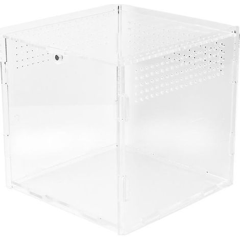 Nouvelle boîte d'élevage transparente (1 pièce)