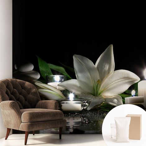 Papier peint intissé mural avec colle pour salon et chambre Décoration murale rapide - Colle incluse gratuite Scène relaxante 250x250 cm (1/5)