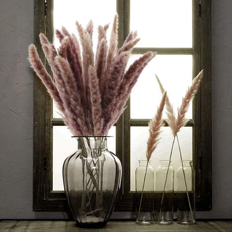 Fleurs Séchées Naturelles - Herbe De Pampa Brune - Décoration Vase Mariage Maison - Lot De 35 Pièces - 20cm (1/5)