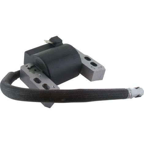 Bobine d'allumage BRIGGS et STRATTON 796964 (1/3)