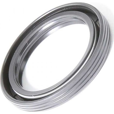 Joint spi pour Briggs & Stratton 291675 (1/5)