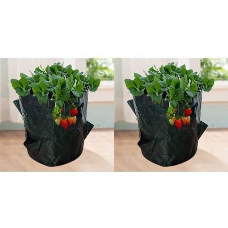 Sacs de Culture pour Fraise, 2PCS 18L/5 Gallons Sac de Legumes, Tissu Non-tissé Sac de Plantation avec Fenêtre, Sac de Legumes de Jardin (23X28CM (4 ports)) (1/5)