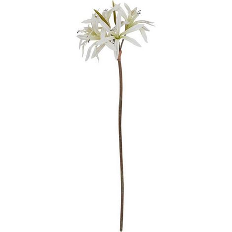 The Natural Garden Collection Nerine Lily (Single Stem Flower) - Plastic - Height 61 cm - White