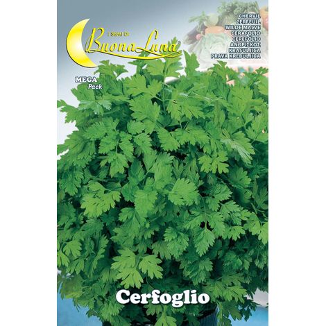 SEMI ORTO CERFOGLIO- HORTUS SEMENTI- 10,0 pz