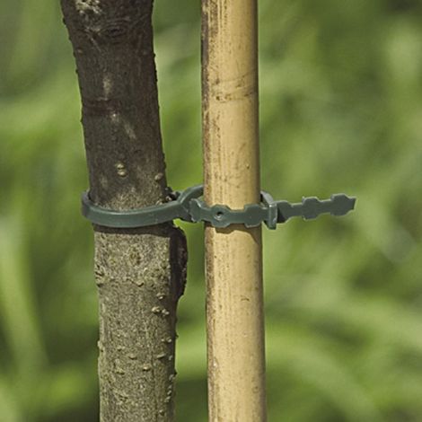 20er-Pack NORTENE-Baumbinder, 0,37 m NORTENE
