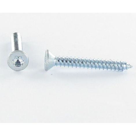Vis tôle Tête fraisée TORX T20 4.2X19 Acier zingué-1 pièce