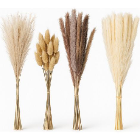 Juego de Hierba de la Pampa Seca, 144 Piezas - Decoración Boho (1/5)