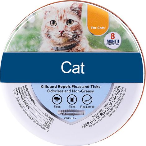 Collier anti-puces et tiques pour chat et chien, collier animal Katt 38 cm, protection longue durée, ajustable, sans danger, usage intérieur et extérieur (1/5)