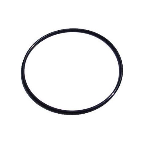 10 joints toriques Bestway Flowclear P6119 – Étanchéité durable pour couvercle de filtre – Remplacement pompe à sable