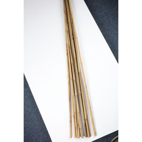 20x Bambus Stangen 10er 150cm Kletterpflanzen Stütze Binder Hilfe Garten Sticks (1/2)