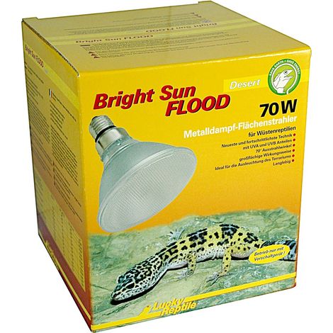 Lucky Reptile - Bright Sun FLOOD Desert - 70W