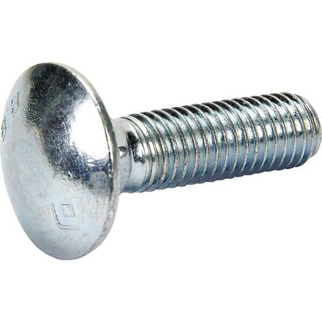 Schraube 10x35 5732 8.G ZN GASPARDO F01060071R