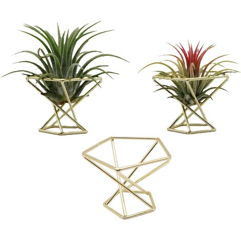 BEBUSINGOTO Support géométrique pour plantes à air, support pour plantes en métal, étagères de jardinière, décoration de vie, conteneurs de pots de Tillandsia (or 3 pièces) (1/5)