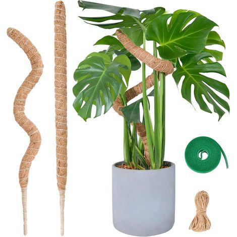 Tuteur Monstera pour Plantes, 60cm x 2 kit de Poteau de Mousse Monstera pour Plantes Grimpantes, Tuteur Coco pour Plantes d'intérieur (1/5)