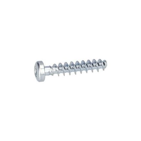Vis a tete bombee torx pour Marteau perforateur BOSCH OUTILLAGES - 2914201529