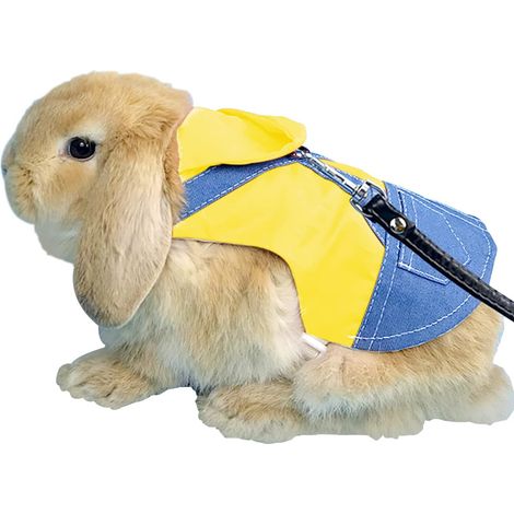 Harnais avec Laisse pour Lapin, Harnais de Lapin avec Laisse de Remorquage Élastique Réglable(jaune 20cm-L) (1/5)