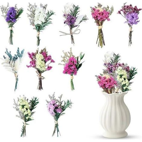 10 Pièces Bouquets de Fleurs Séchées atures Bouquets Naturels pour Les Loisirs Créatifs Les Petits Vases et la Déc FLEUR STABILISEE (1/4)